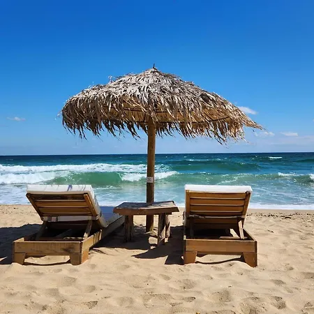 Golden Sunrise * שקורפילובצי