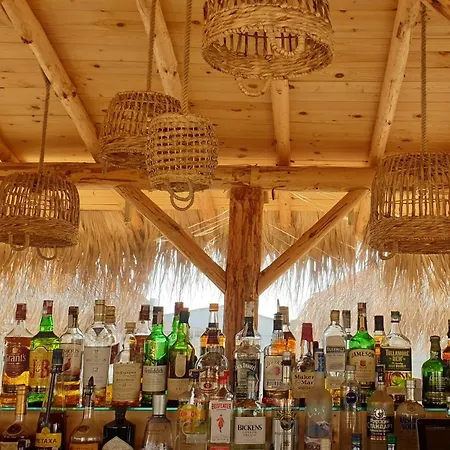 Golden Sunrise שקורפילובצי