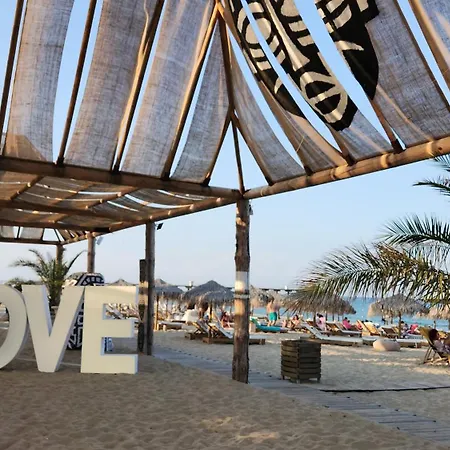 Golden Sunrise שקורפילובצי