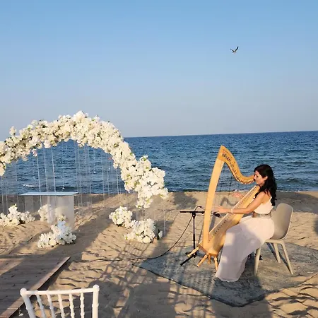 Golden Sunrise * שקורפילובצי