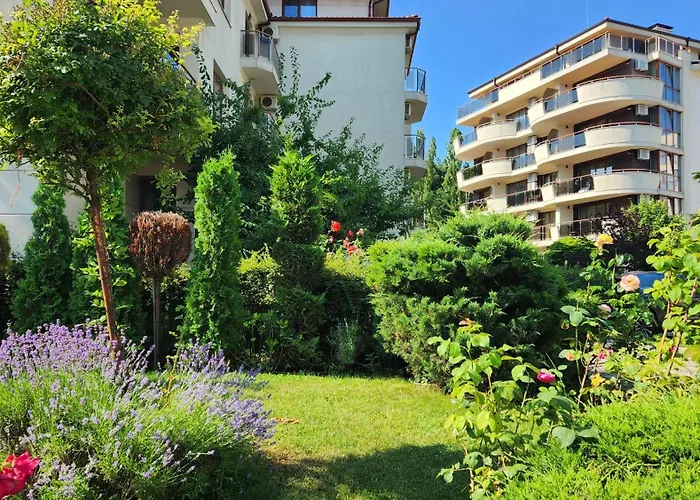 Golden Sunrise 希科尔皮诺夫西