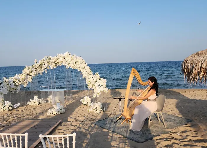 Golden Sunrise * 希科尔皮诺夫西